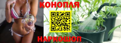 крисы Ярцево