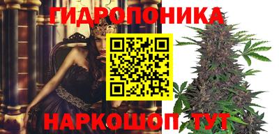 крисы Ярцево