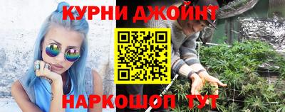 крисы Ярцево