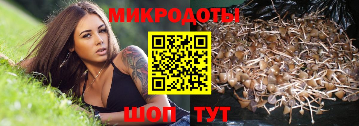 Галлюциногенные грибы мухоморы Краснокаменск