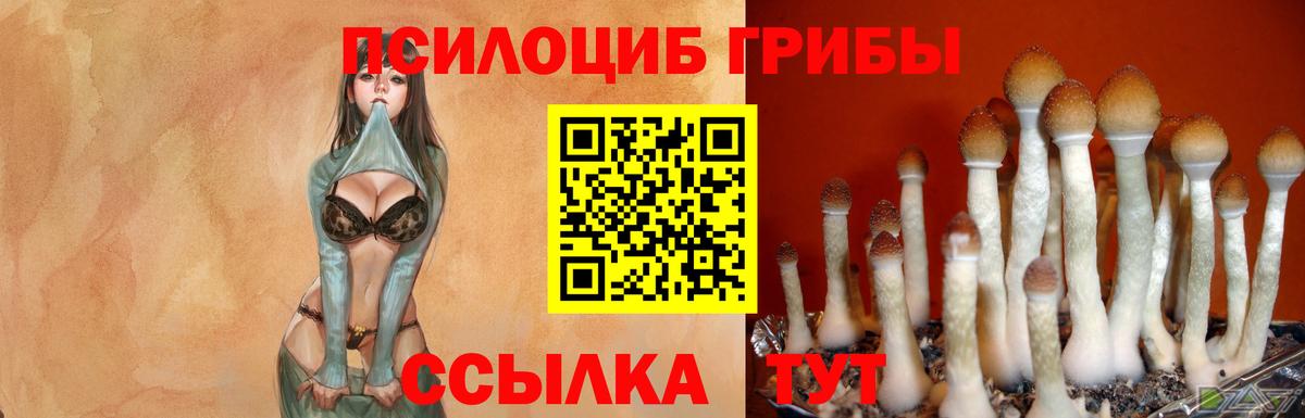 Псилоцибиновые грибы MAGIC MUSHROOMS  Псилоцибиновые грибы Psilocybine cubensis  Краснокаменск  Вход с VPN 